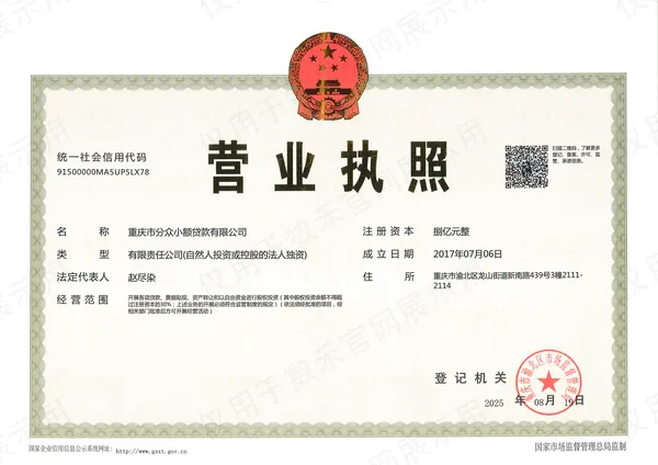 数禾科技小额贷款公司营业执照证书